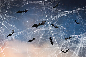 Image showing black bats over starry night sky and spiderweb