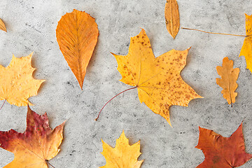 Image showing dry fallen autumn leaves on gray stone background