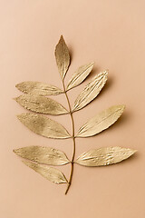 Image showing golden ash tree leaf on beige background