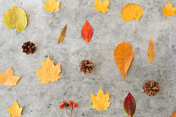 Image showing dry autumn leaves, rowanberries and pine cones