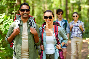 Image showing group of friends with backpacks hiking in forest