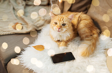 Image showing red cat lying on sofa with smartphone at home