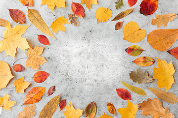 Image showing round frame of different dry fallen autumn leaves