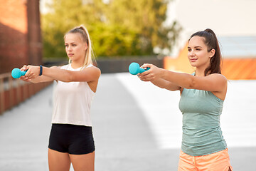 Image showing women exercising with dumbbells outdoors