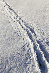 Image showing Footprints of a man