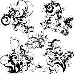 Image showing floral design elements