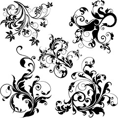 Image showing floral design elements