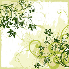 Image showing floral background