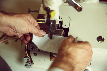 Image showing Sewing process of the leather belt. old Man\'s hands behind sewing.