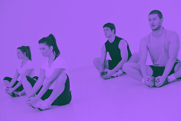 Image showing young people group in fitness club