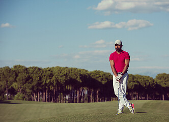 Image showing handsome middle eastern golf player portrait at course