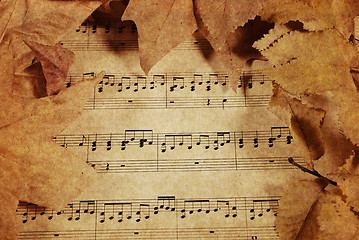 Image showing old music and leaves