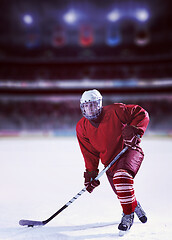 Image showing ice hockey player in action