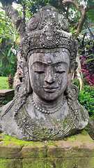 Image showing Buddha image in the tropical garden in Bali 
