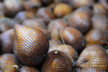 Image showing Sweet tropical fruits of palm greens snake fruit 