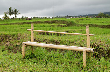 Image showing Jatiluwih rice terrace in Ubud, Bali