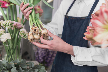 Image showing Small business. Male florist in flower shop. Floral design studio, making decorations and arrangements.