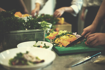 Image showing team cooks and chefs preparing meals