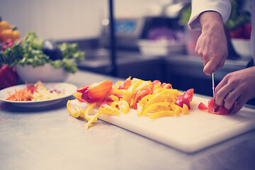 Image showing Chef cutting fresh and delicious vegetables