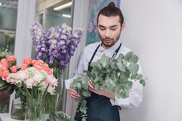 Image showing Small business. Male florist in flower shop. Floral design studio, making decorations and arrangements.