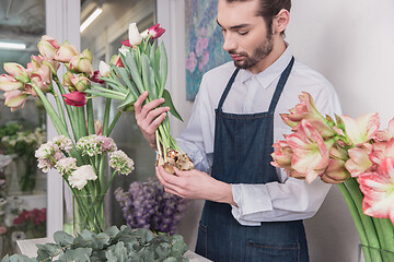 Image showing Small business. Male florist in flower shop. Floral design studio, making decorations and arrangements.