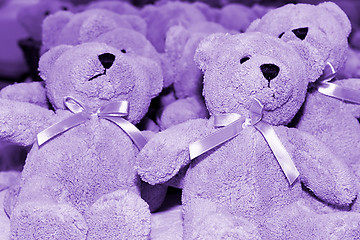 Image showing Teddy bears