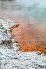 Image showing hot sparkling lake in New Zealand