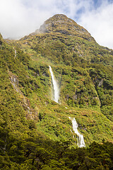 Image showing Fiordland National Park New Zealand