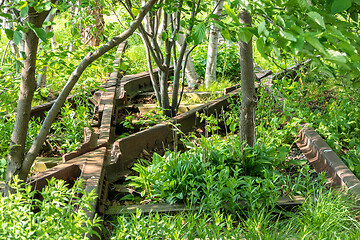 Image showing overgrown tracks with bushes and trees