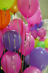 Image showing Party Balloons