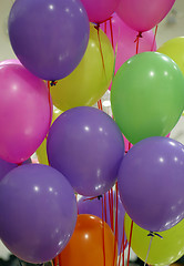 Image showing Party Balloons