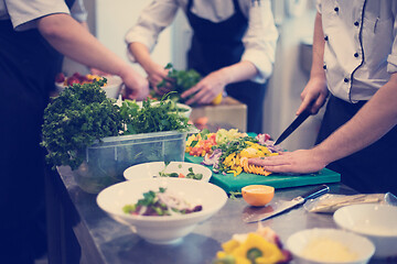 Image showing team cooks and chefs preparing meals