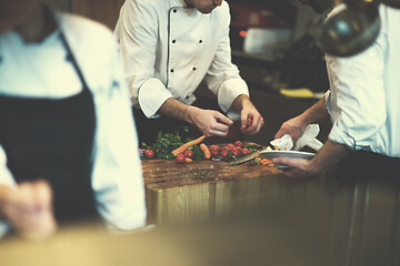 Image showing team cooks and chefs preparing meal