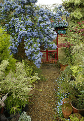 Image showing English Garden