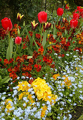 Image showing English Garden