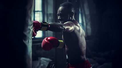 Image showing Hand of boxer over black background. Strength, attack and motion concept