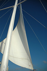 Image showing SPINNAKER