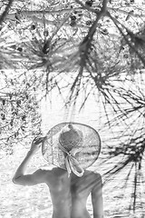 Image showing Rear view of topless beautiful woman wearing nothing but straw sun hat realaxing on wild coast of Adriatic sea on beach in shade of pine tree. Relaxed healthy lifestyle concept. Black and white image