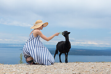 Image showing Young attractive female traveler wearing striped summer dress and straw hat squatting, feeding and petting black sheep while traveling Adriatic coast of Croatia