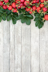 Image showing Rosehip Background Border