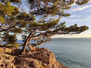 Image showing Pensive woman on vacations, sitting and relaxing under large pine tree on bench by dip blue sea enjoying beautiful sunset light in Brela, Makarska region, Dalmatia, Croatia