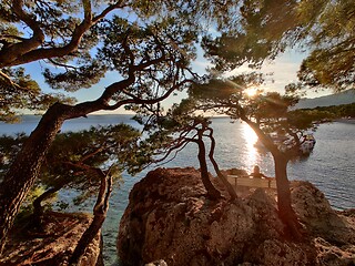 Image showing Pensive woman on vacations, sitting and relaxing under large pine tree on bench by dip blue sea enjoying beautiful sunset light in Brela, Makarska region, Dalmatia, Croatia