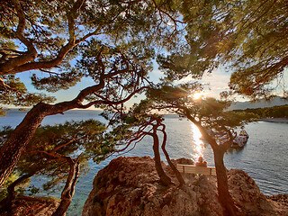 Image showing Pensive woman on vacations, sitting and relaxing under large pine tree on bench by dip blue sea enjoying beautiful sunset light in Brela, Makarska region, Dalmatia, Croatia