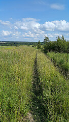 Image showing Beautiful summer landscape 