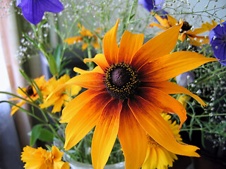 Image showing Beautiful bright bouquet with rudbeckia flower 