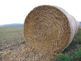 Image showing Roll of straw in field