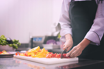 Image showing Chef cutting fresh and delicious vegetables