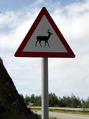 Image showing Animal crossing sign. Cyprus