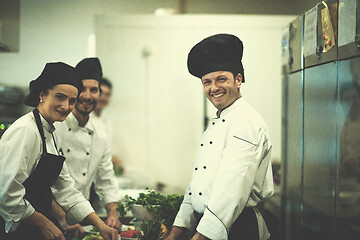 Image showing team cooks and chefs preparing meals