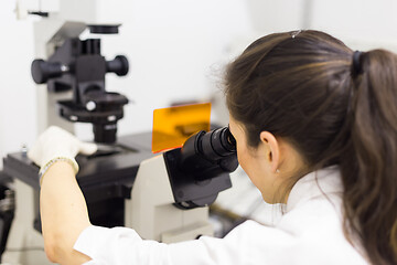 Image showing Life science researcher microscoping in genetic scientific laboratory.